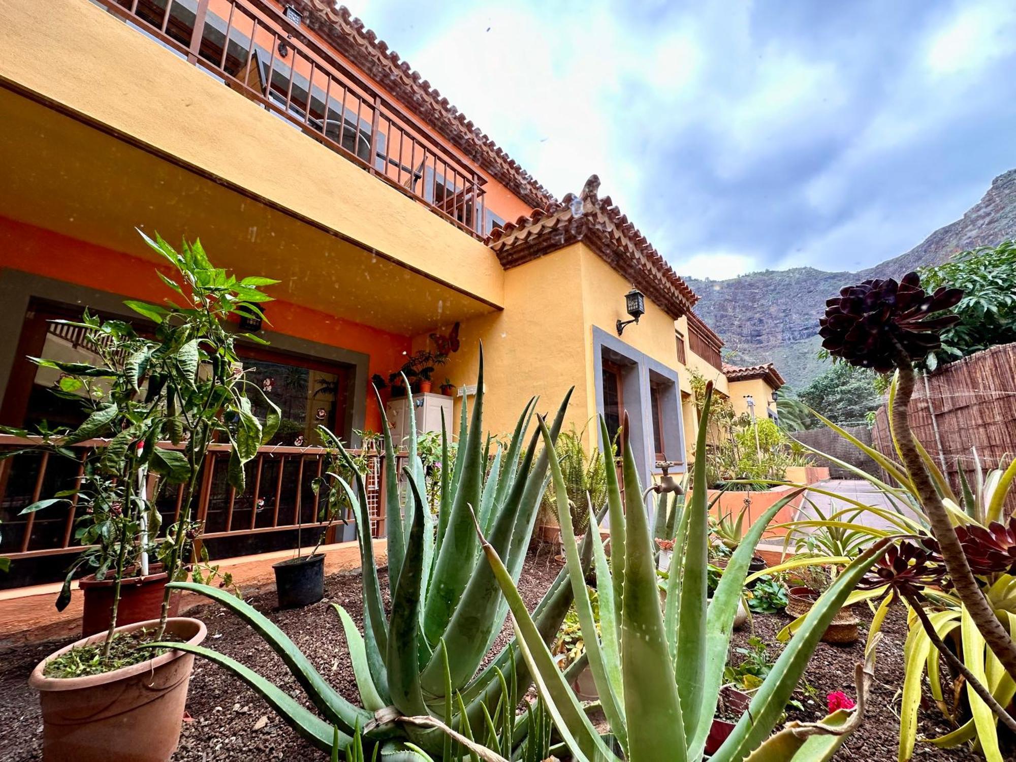 Calma Suite Agulo Exteriér fotografie
